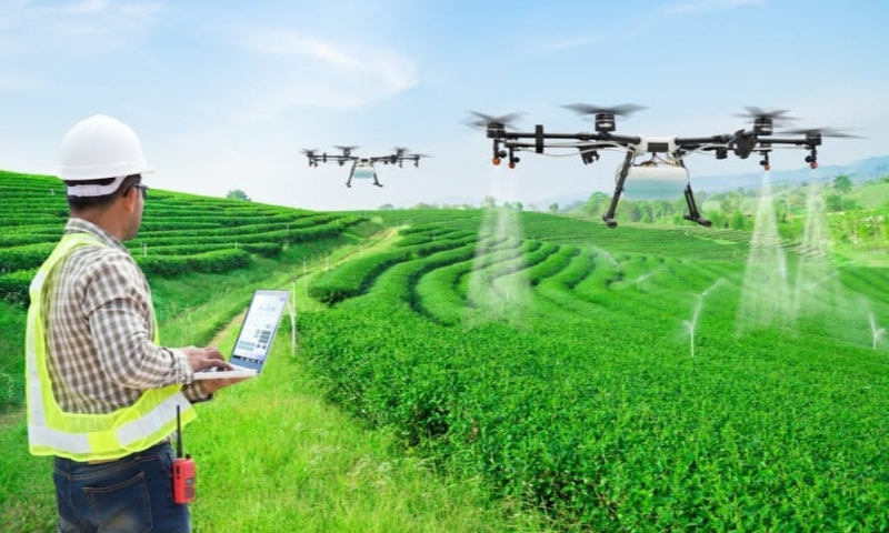 Vai trò của khuyến nông trong phổ biến nông nghiệp chính xác