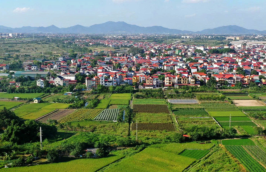 Cẩn trọng với giao dịch đất nông nghiệp bằng giấy viết tay