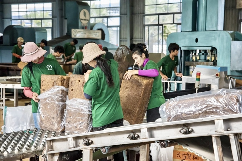 Ngành cao su Gia Lai bắt nhịp 'cuộc chơi' toàn cầu