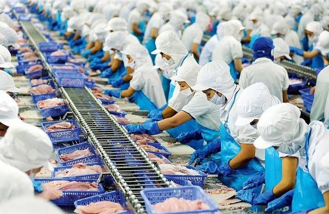 Ngân hàng đẩy mạnh tín dụng hỗ trợ xuất khẩu nông lâm thủy sản