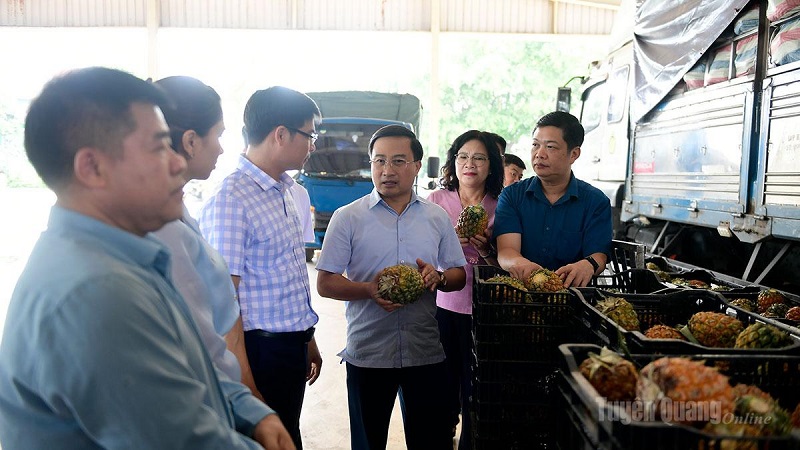 Tạo mọi điều kiện để Công ty Cổ phần Thực phẩm Xuất khẩu Đồng Giao nghiên cứu xây dựng nhà máy chế biến tại tỉnh Tuyên Quang