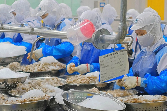 Cấp thiết xây dựng hệ sinh thái xuất khẩu toàn diện