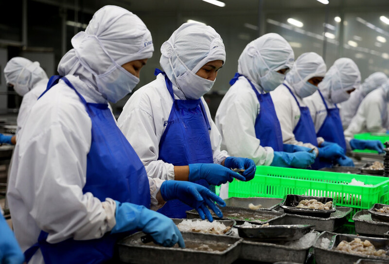 EU siết tiêu chuẩn bao bì: Doanh nghiệp đối mặt áp lực chuyển đổi